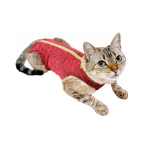 BODY PROTECTOR Y POST-QUIRURGICO PARA GATOS