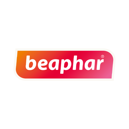 bea